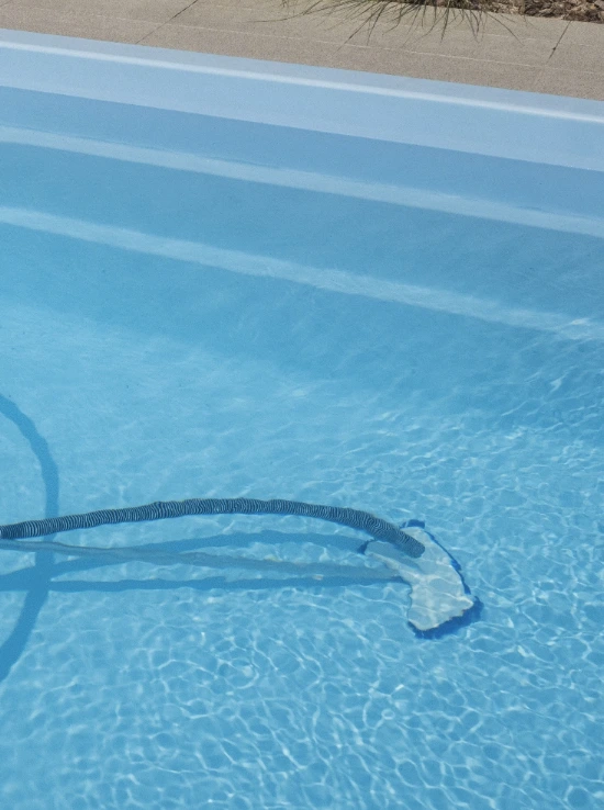 poolsauger