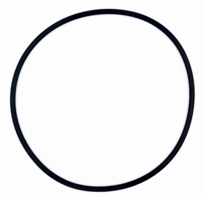 O-Ring für die Schlauchtülle auf der Druckseite der OKU SPS Poolpumpe zur Abdichtung